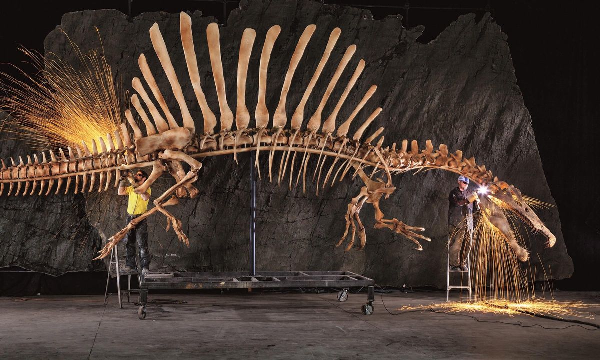 Spinosaurus Aegyptiacus- The Semi-Aquatic Theropod